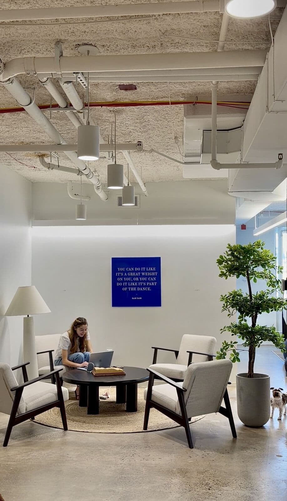 The entrance after: cream armchairs around a black round table under a Ram Dass print, with a tree and the office dog wandering in
